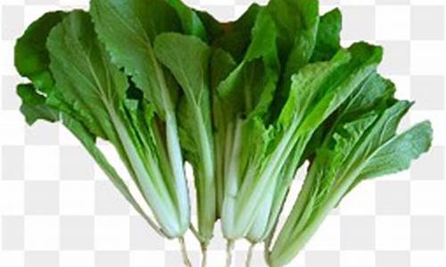 菠菜公司排名(出名的菠菜公司) (3)