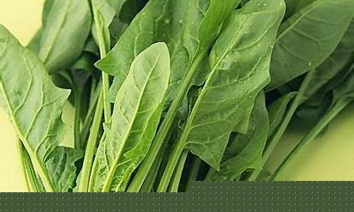 菠菜公司网址(菠菜公司在哪) (3)