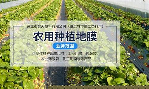 专业菠菜导航官网(菠菜四大导航)