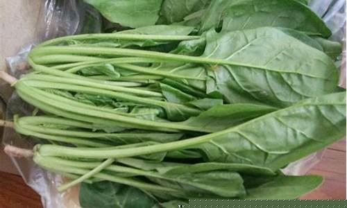 菠菜评级排行(菠菜信誉排行) (2)