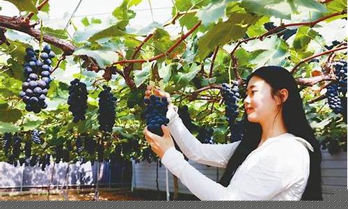 澳门新葡萄娱乐网站：葡京开户(葡京打钱) (3)