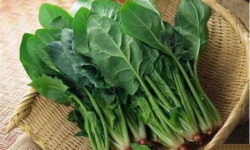 线上菠菜入口(网上菠菜链接)