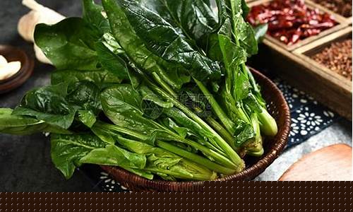 菠菜大全(菠菜大全最新) (5)